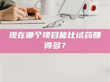 鞍山现在哪个项目能比试药赚得多？