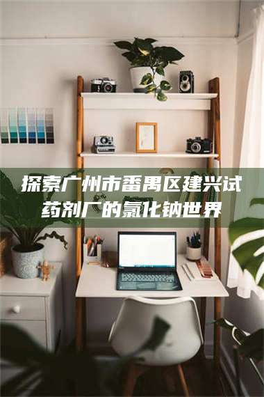 鞍山探索广州市番禺区建兴试药剂厂的氯化钠世界 第1张