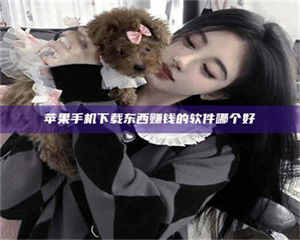 鞍山苹果手机下载东西赚钱的软件哪个好 第1张